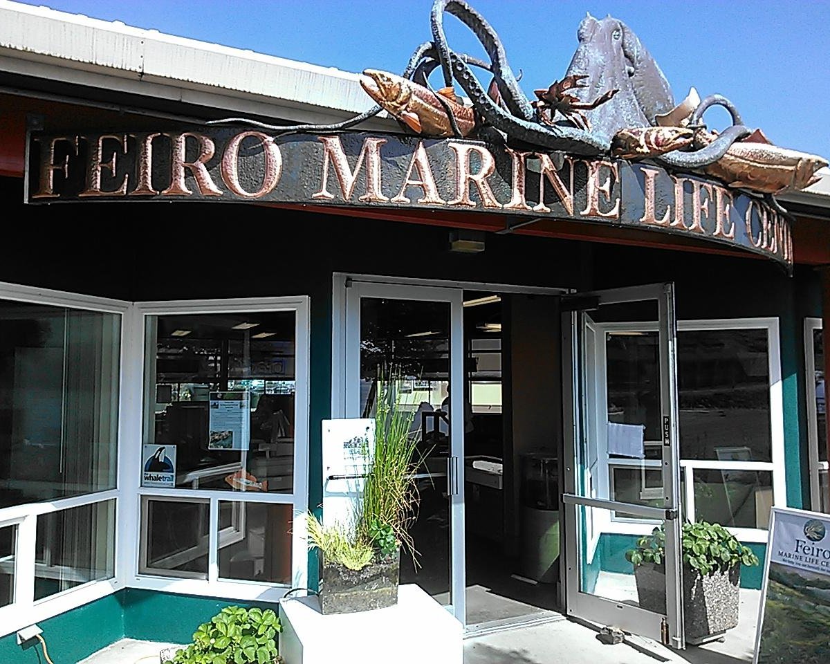 Feiro Marine Life Center, Port Angeles: лучшие советы перед посещением -  Tripadvisor