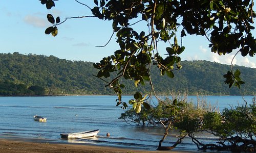 Site- ul de intalnire Mayotte. femeie caut barbat tanar matrimoniale, comentarii