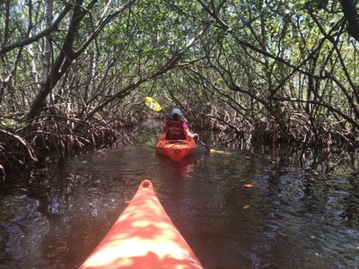 Feather Sound, FL: All You Must Know Before You Go (2024) - Tripadvisor