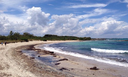Torre Guaceto