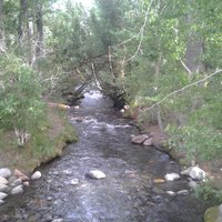 Mcgee Creek (mammoth Lakes) - All You Need To Know Before You Go