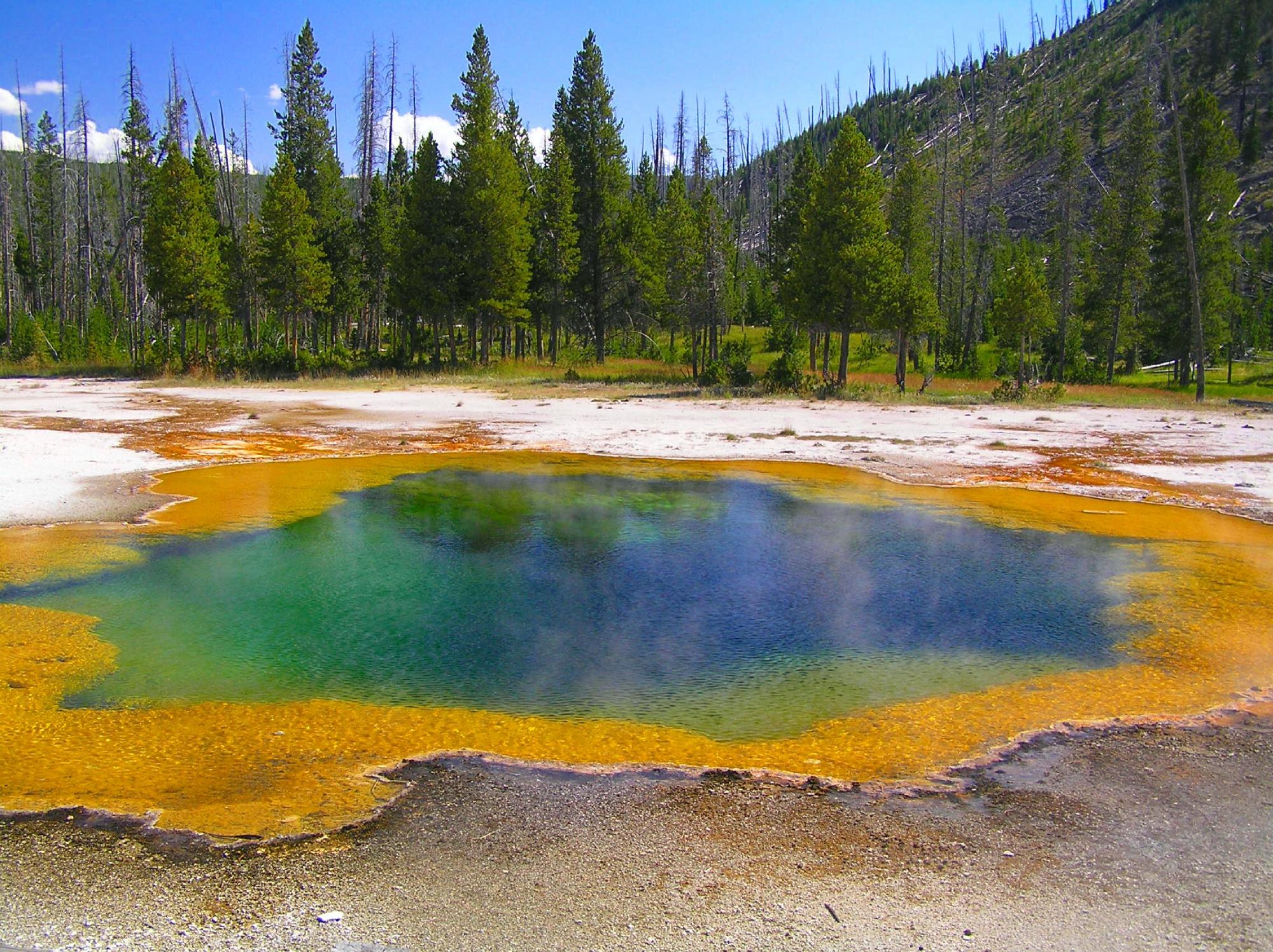 Biscuit basin trail sale