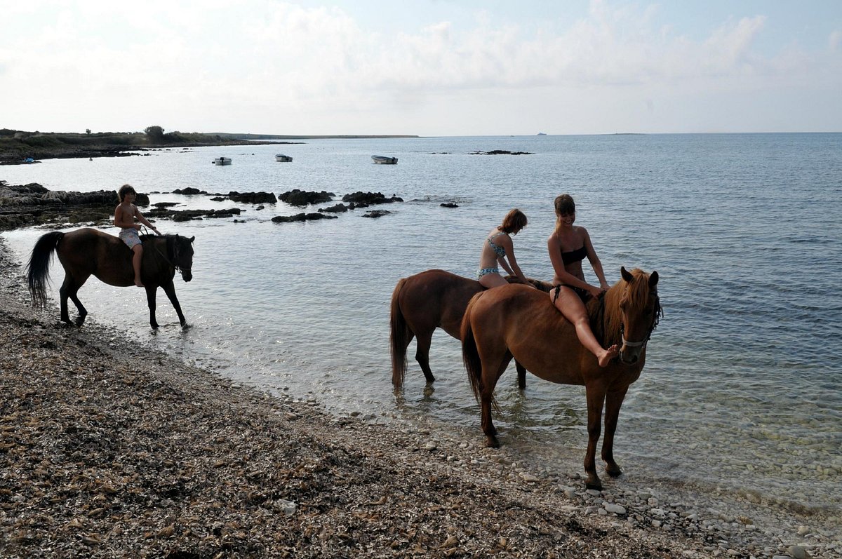 Swedish Nudist Beach Babes - Samy's Ranch (Medulin) - All You Need to Know BEFORE You Go