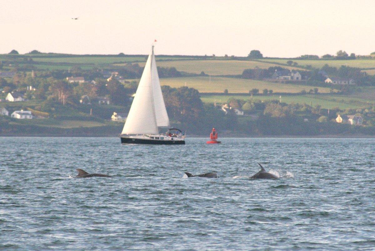The City Adventure  Cork Harbour Boat Hire with Ocean Escapes