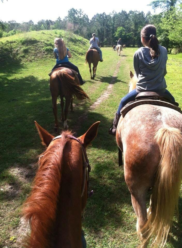 Horse riding deals near me