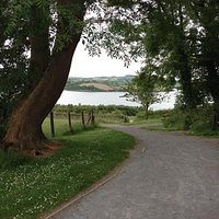 View from Delamont Country Park