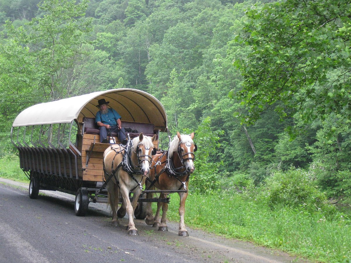 ole covered wagon tours reviews