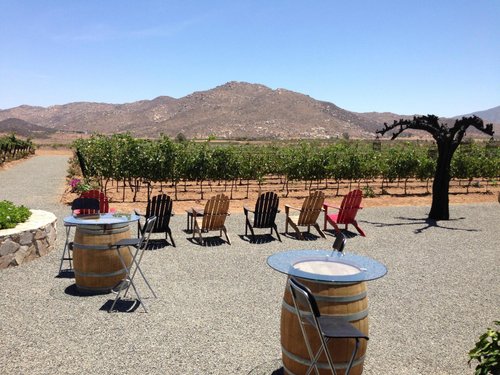 AlXimia - Baja Wine Country Guide