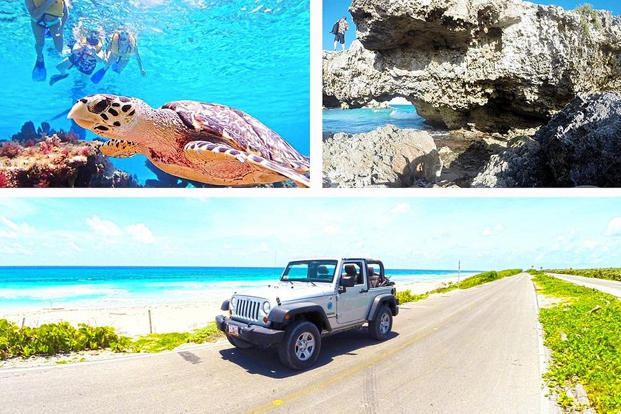 cozumel cruise excursions private tours