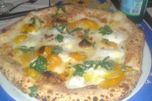 Cibo