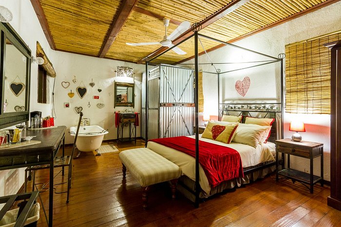 Gecko Lodge Rooms Pictures And Reviews Tripadvisor