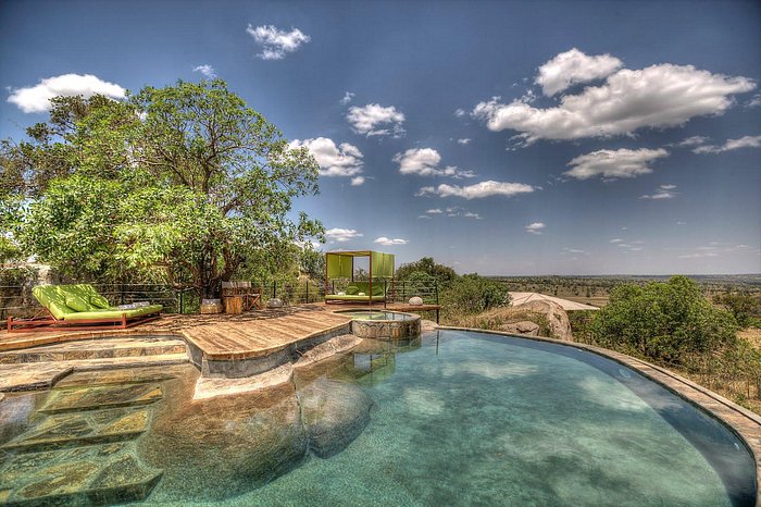 Ultimate Safari Luxury: Serengeti Bushtops Revealed