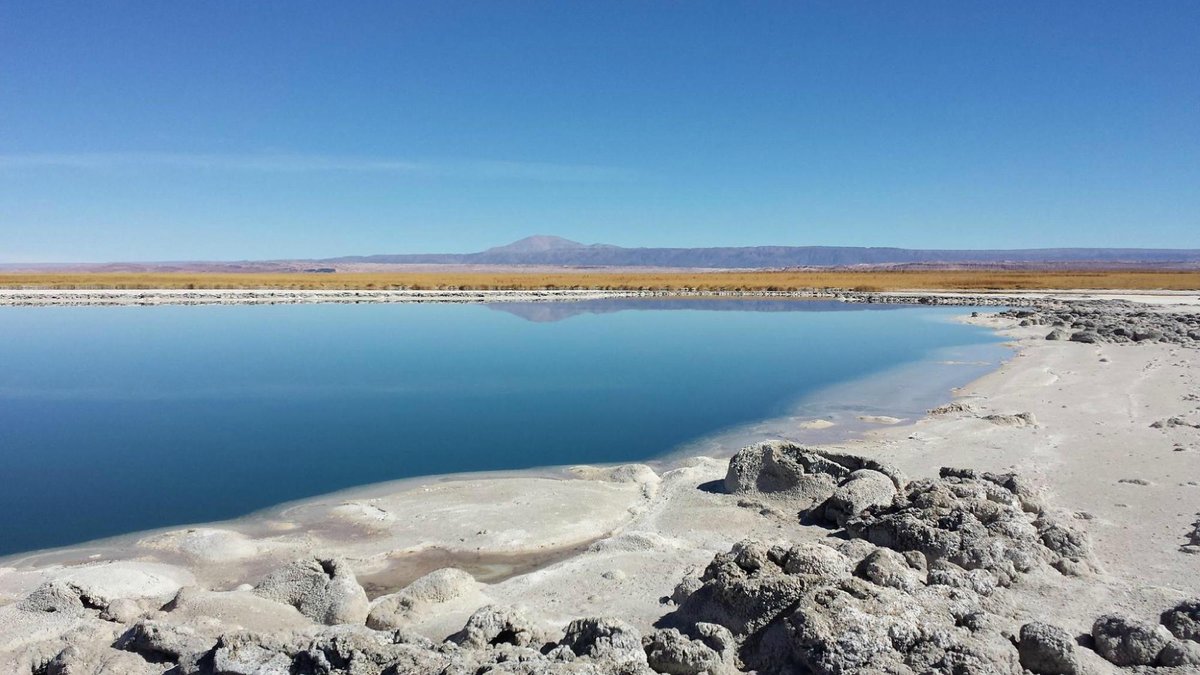 22年 Laguna Cejar 行く前に 見どころをチェック トリップアドバイザー