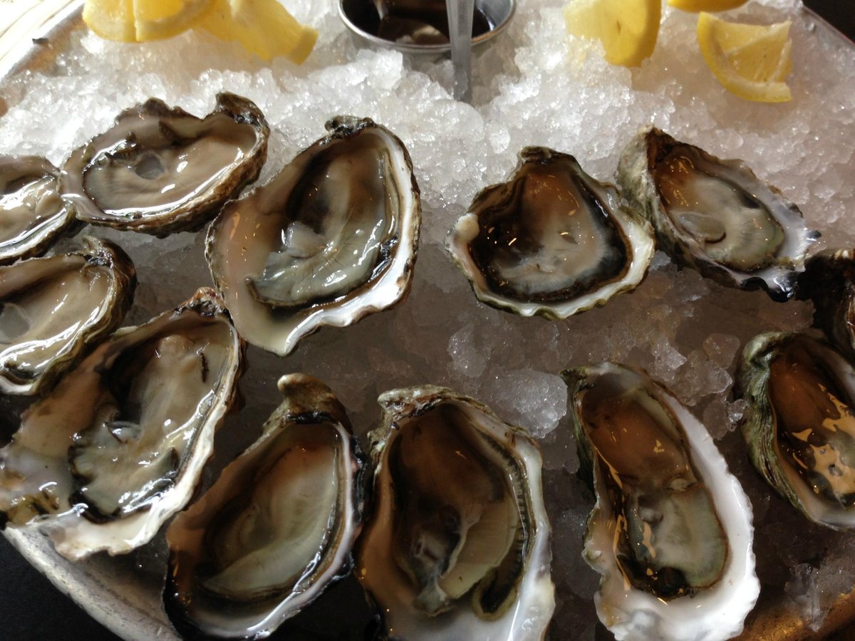 TAYLOR SHELLFISH OYSTER BAR, Seattle - 124 Republican St, Queen Anne ...