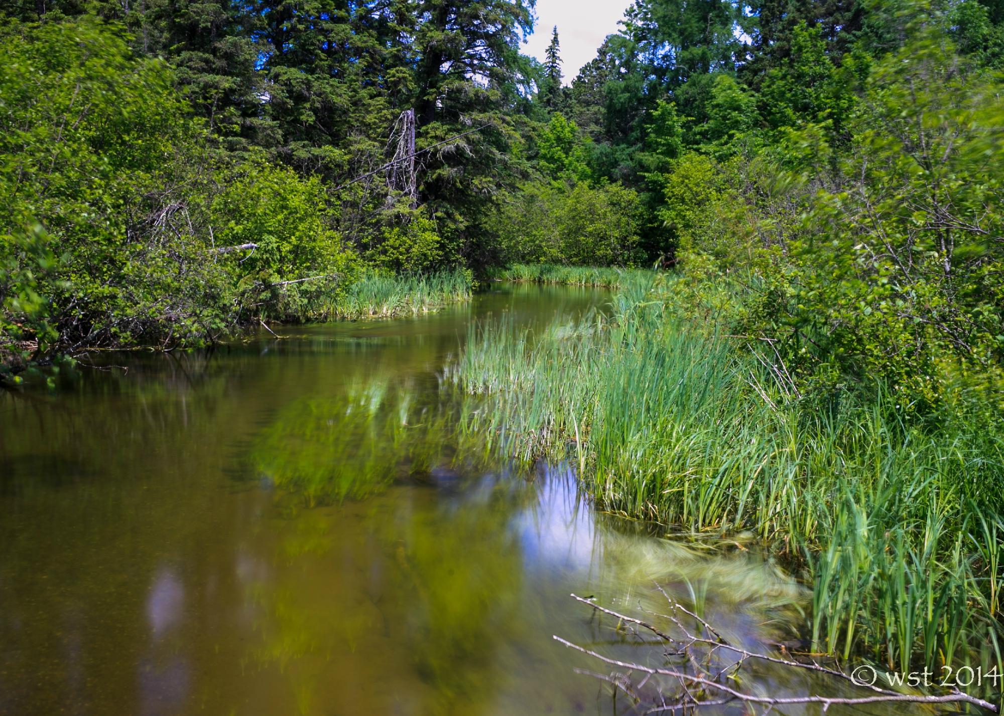 THE 10 BEST Minnesota State Parks (2024) - Tripadvisor