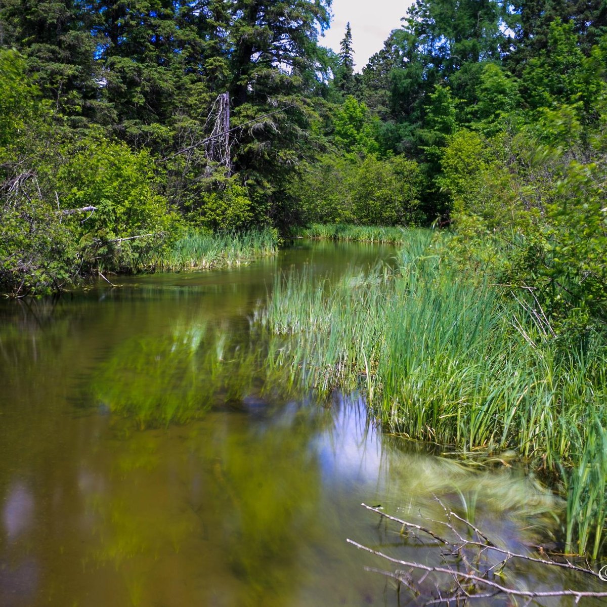 Itasca State Park (Lake Itasca) 2022 Lohnt es sich? (Mit fotos)