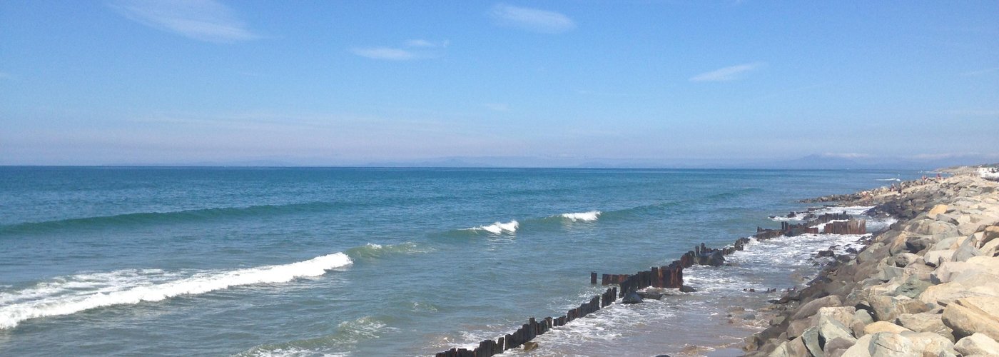 View from my caravan!
