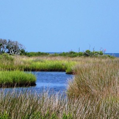 BREAKWATER RESTAURANT, Hatteras Island - Menu, Prices & Restaurant ...