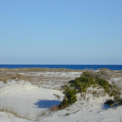 THE 15 BEST Things to Do in St. George Island - UPDATED 2021 - Must See
