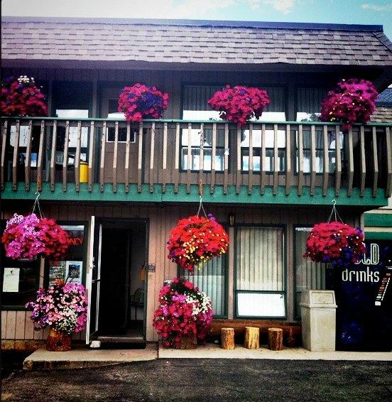 Hotel photo 2 of Snowshoe Motel.
