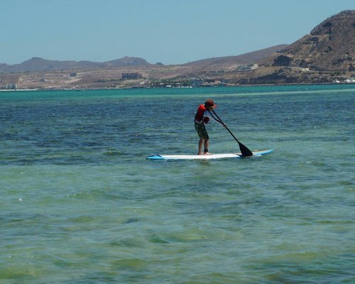 THE 5 BEST La Paz Stand-Up Paddleboarding (Updated 2023)