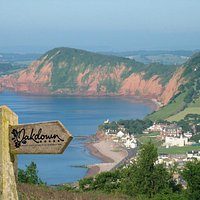 View of Sidmouth Nearby