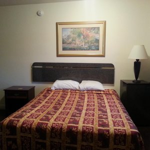 Bed and Bathroom