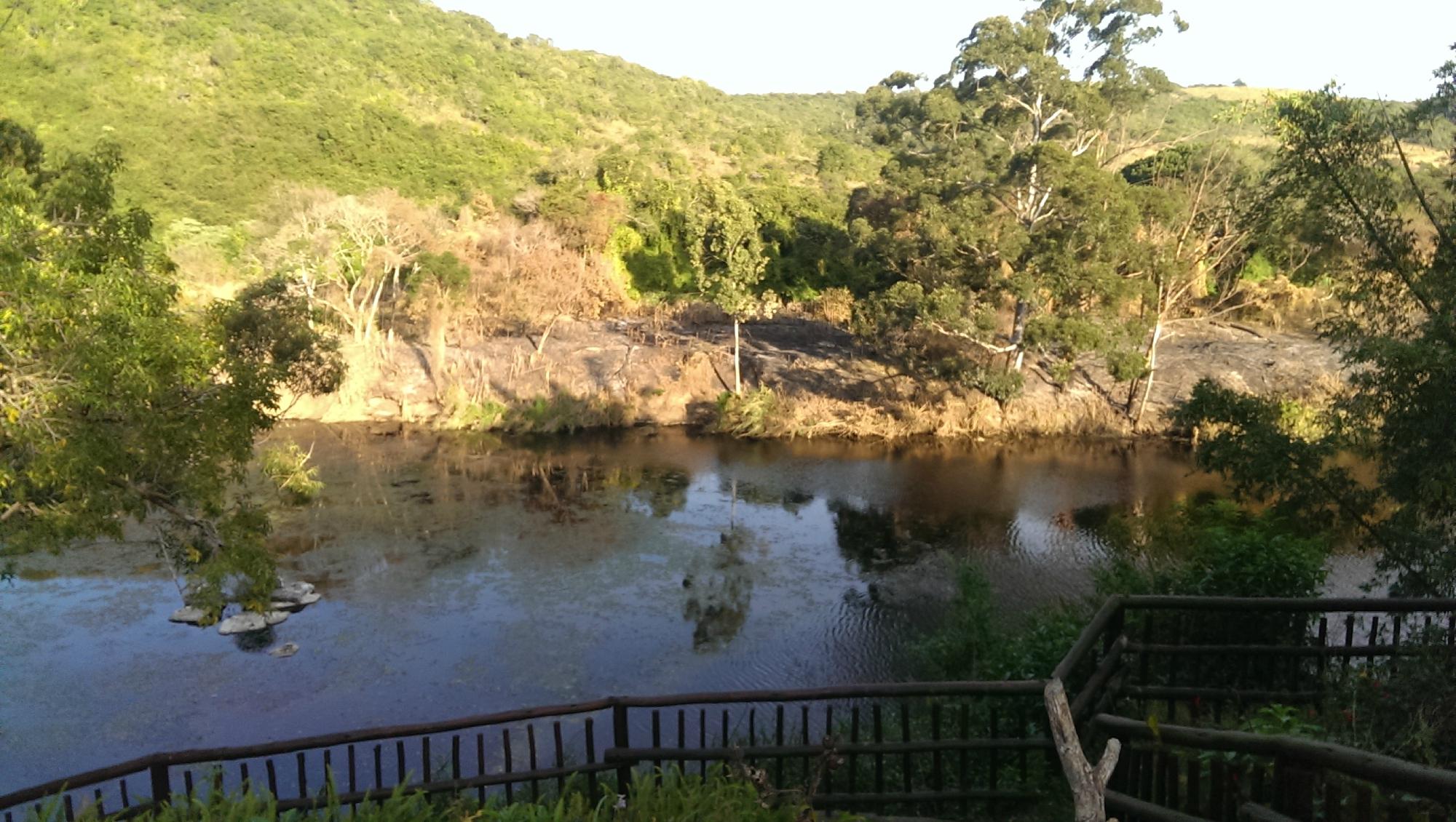 Hotel photo 17 of Fish Eagle Manor.