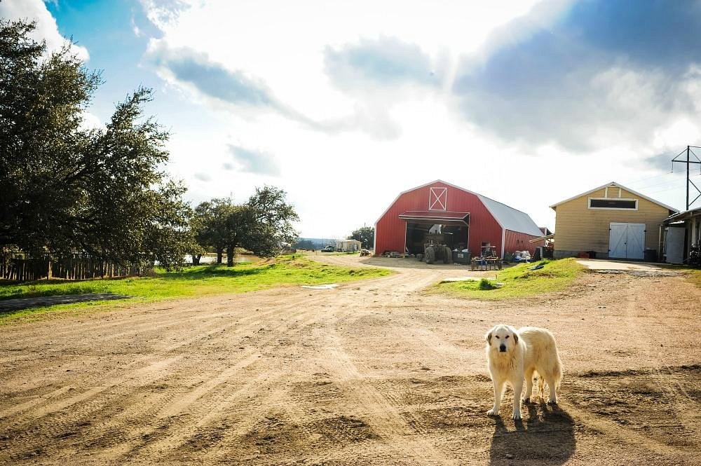 Veldhuizen Cheese Shoppe comes on 20 years of business in Erath County –  the JTAC