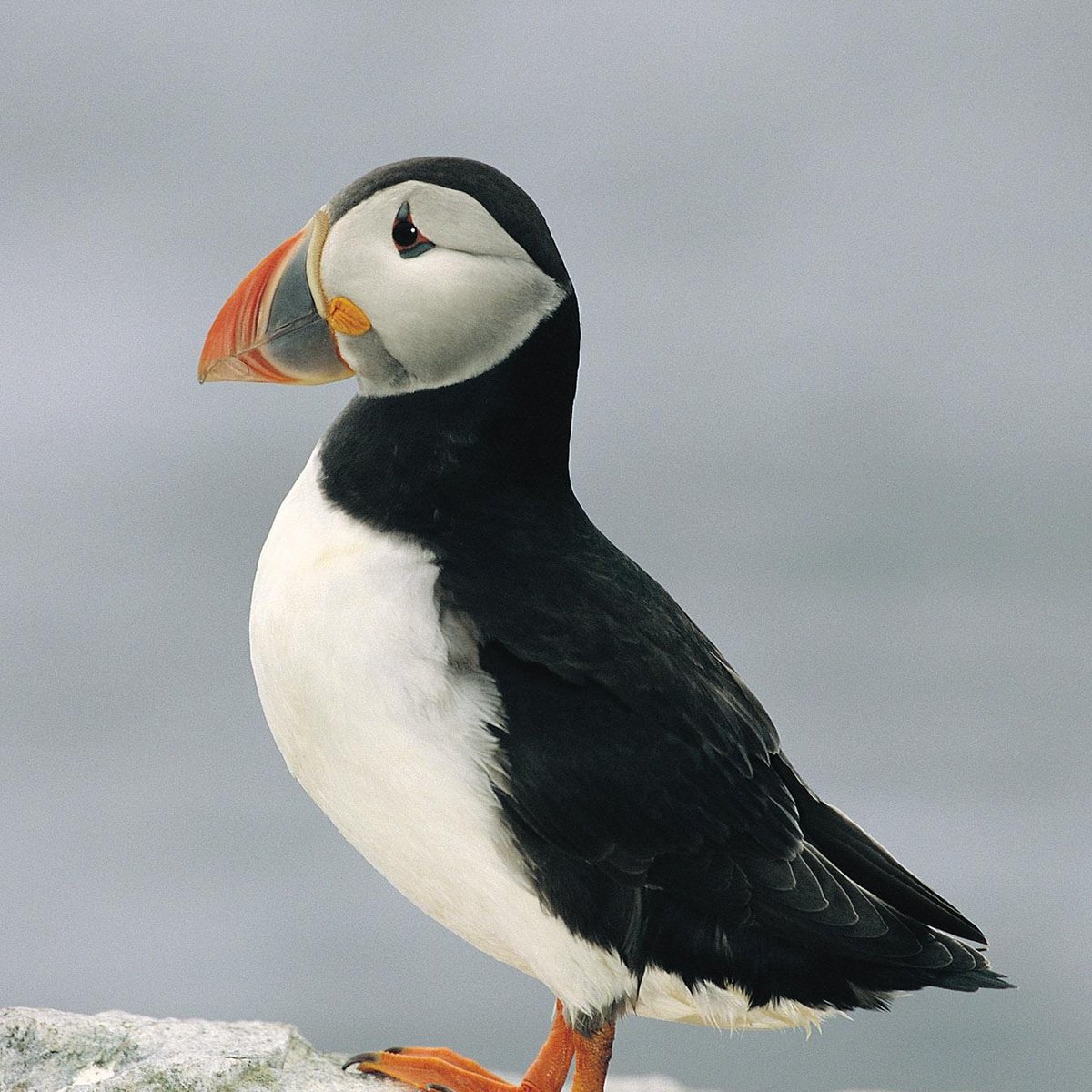 Anglesey Wildlife Walks - All You Need to Know BEFORE You Go (2024)