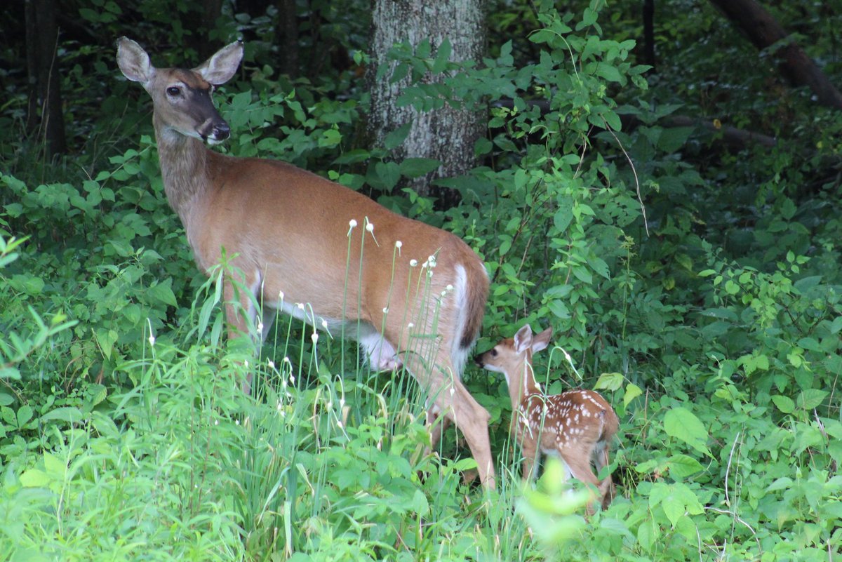 Crab Orchard National Wildlife Refuge Marion All You Need To Know