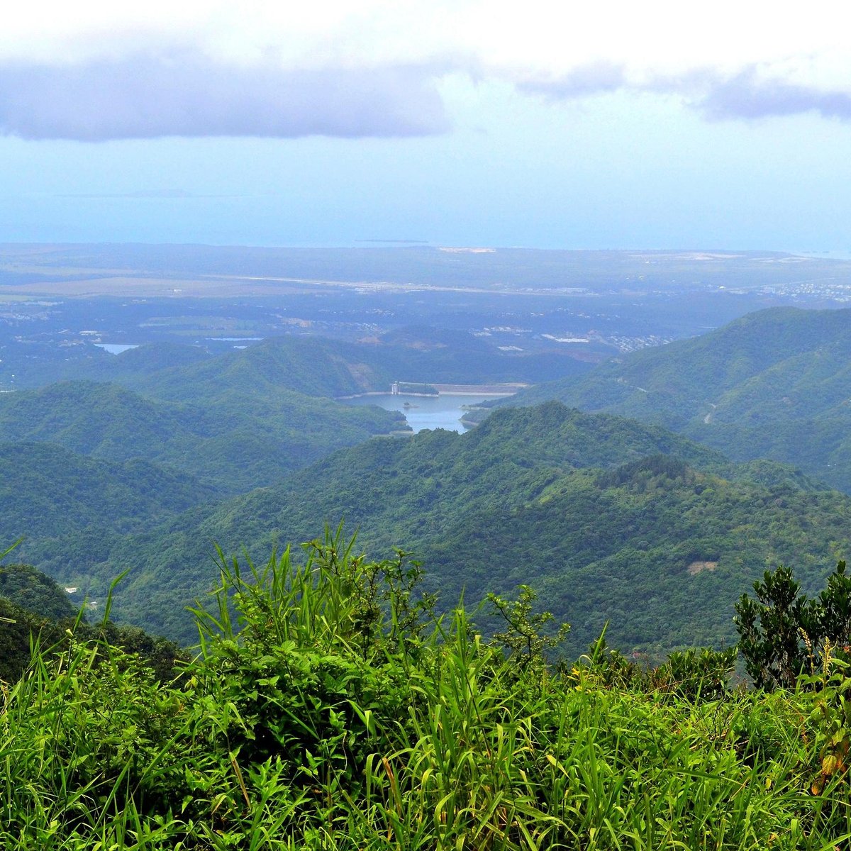 Cerro de Punta - 하유야 - Cerro de Punta의 리뷰 - 트립어드바이저