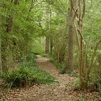 Russ Pitman Park trail at the Nature Discovery Center