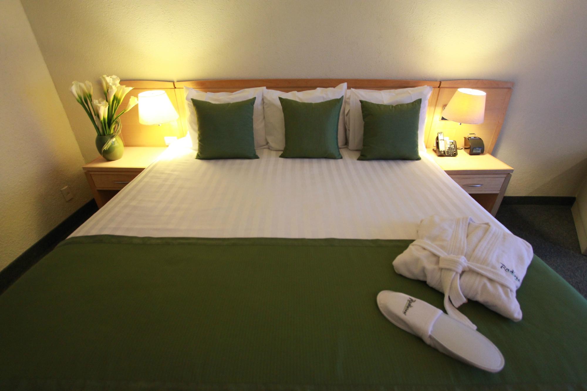 Hotel photo 11 of Radisson Paraiso Hotel Mexico City.