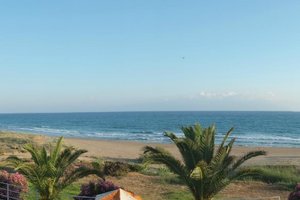 Pool & Beach