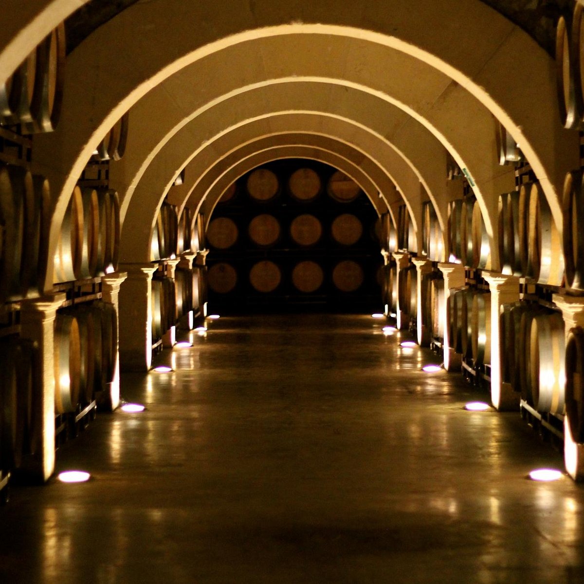 Bodegas LuzÓn Jumilla All You Need To Know Before You Go 7396