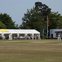 Cricket week on The Vine, always 2nd week of July