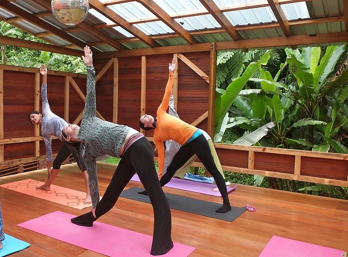 Blog - Yoga Casa Verde