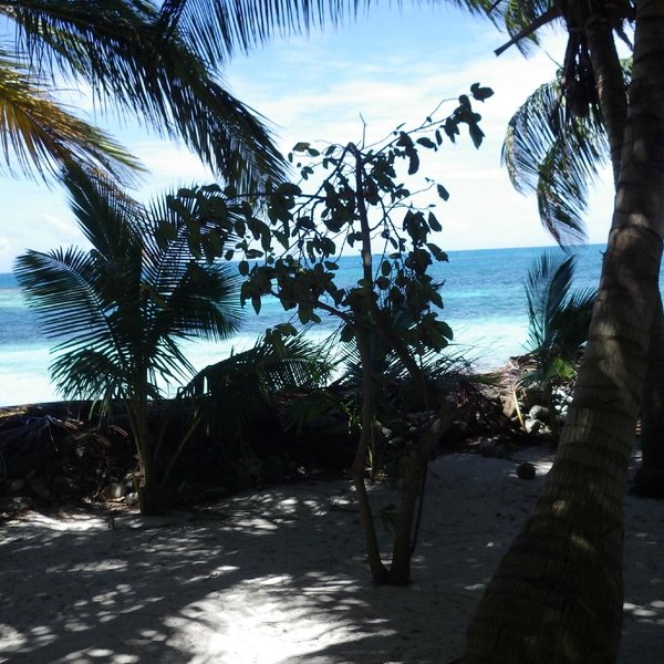 Laughing Bird Caye National Park - All You Need to Know BEFORE You Go ...