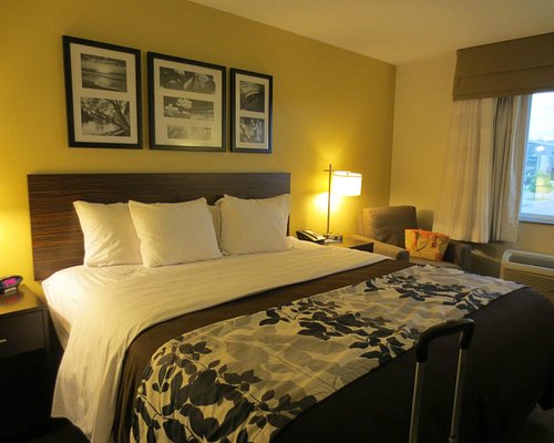 Bed Bugs Review Of Staybridge Suites Grand Forks Grand Forks Nd Tripadvisor