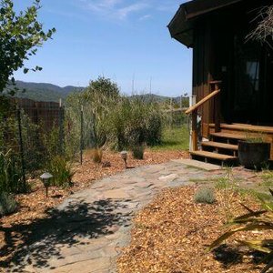 Walkway to Windsong Cottage ...