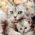 Francineh261