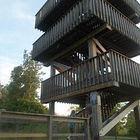 hawk tower