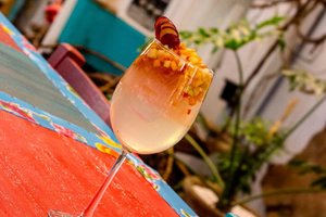 Bebidas