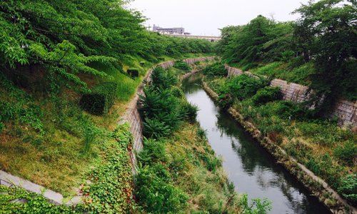 Scenery July