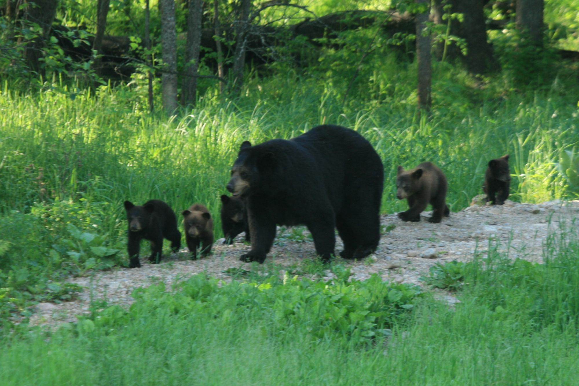 THE 10 BEST Minnesota Nature & Wildlife Areas (Updated 2024)