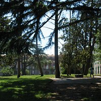 Bosco e Palazzo Reale