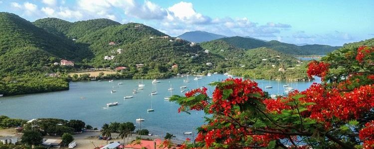 sail pepper  day sails, St. John, Virgin Islands, sailing, snorkeling, Coral Bay, Maho Bay