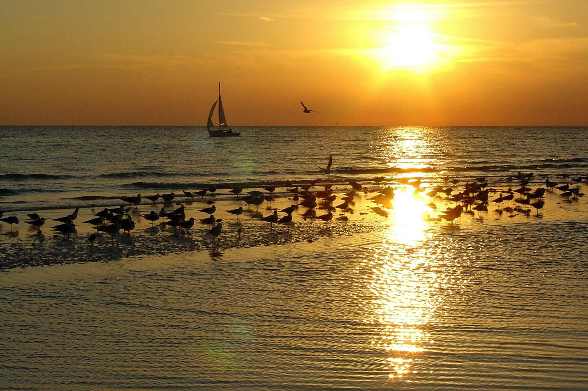 sun line cruises tarpon springs