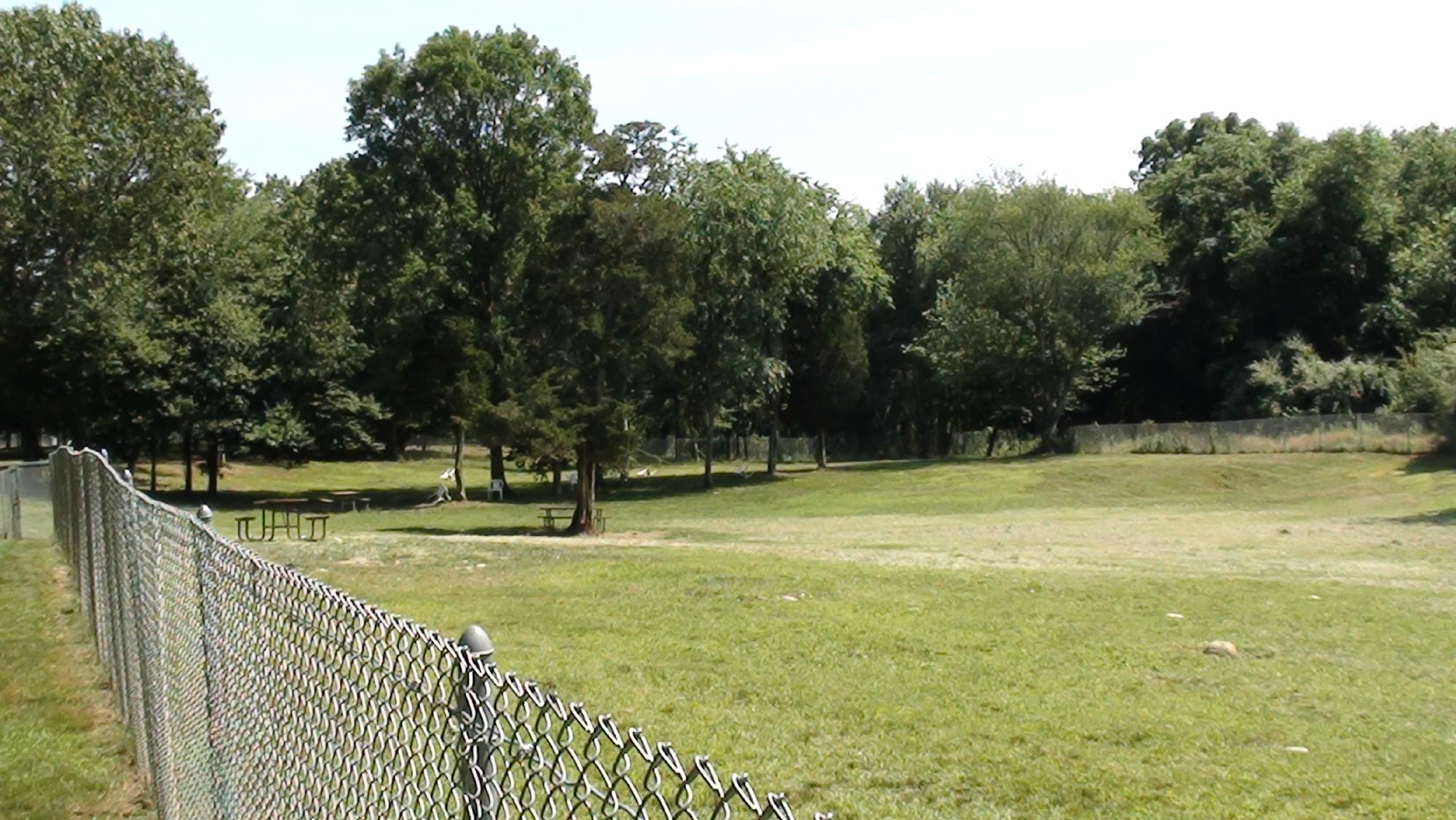 2022 Central Bark Dog Park   Central Bark Dog Park 